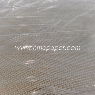 kaufen W10mm-50mm breites HME-Filterpapier mit maximaler Wasserabsorption und Holz- und Fasermaterial online manufacture